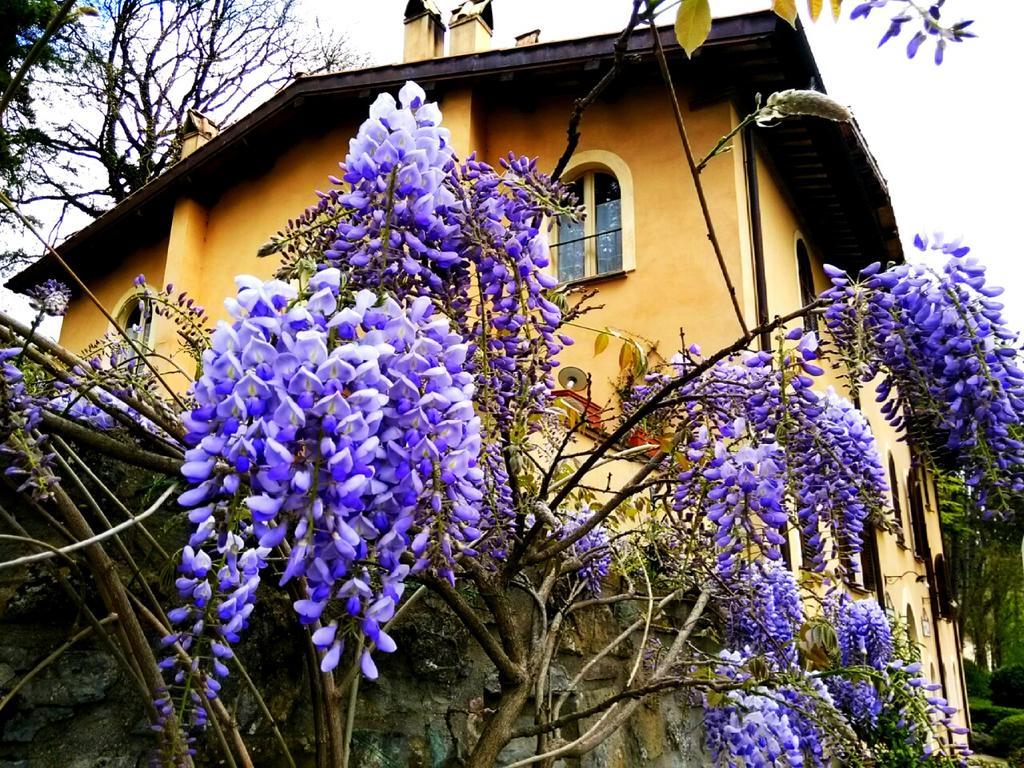La Locanda del Borgo Pietralunga  Esterno foto